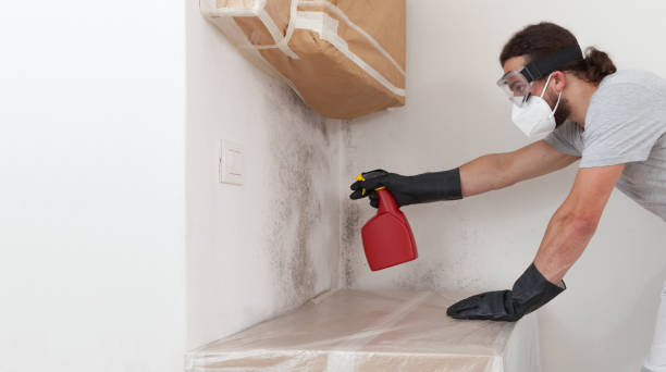 Professional Bathroom Mold Removal technician working in Essex Fells, NJ